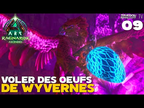 La Meilleure Technique Pour Voler des Oeufs De Wyvernes - ARK RAGNAROK Ascended [09]