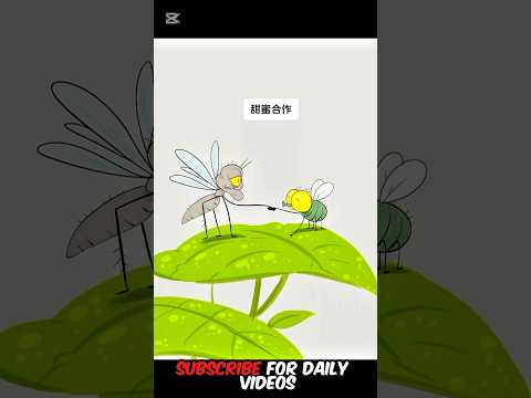 The friendship between a bee and a mosquito 😂 #shorts #funny #animation