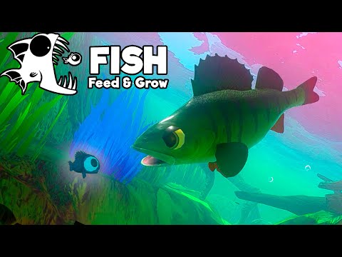 PASE 24 HORAS SIENDO UN PEZ | Feed and Grow: Fish