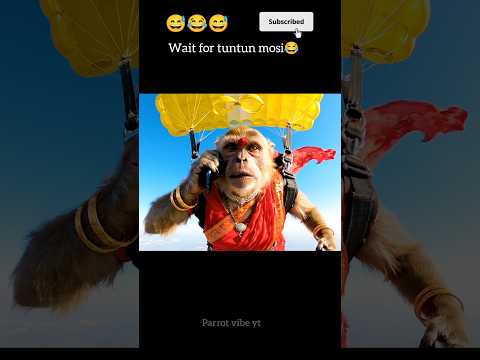 monkey vlog 😱#shorts #monkeyvlog #funny#monkey