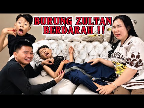 BURUNG ZULTAN B3RD4R4H‼️Yogafamilly 