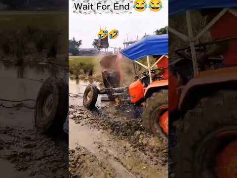 Wait For End 😂😂🥶 Don't Miss The End #funny