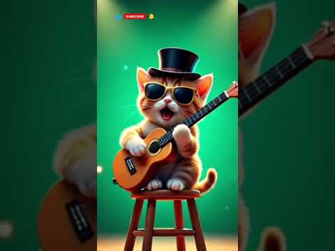 kucing lucu bermain gitar 🎸#kucing #youtubeshorts #feedshorts #shorts #cat