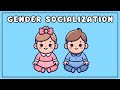 Gender Socialization Concepts and Impacts