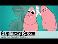 Exploring the Human Respiratory System