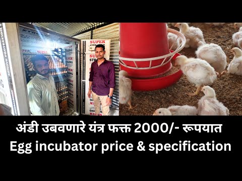 अंडी उबवणारे यंत्र फक्त 2000/- रूपयात । Egg incubator price & specification । Great Maharashtra