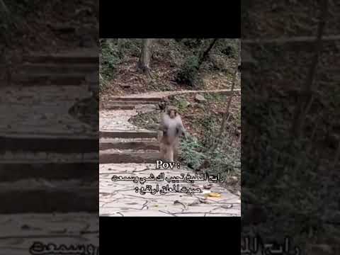 #اكسبلور #كورة