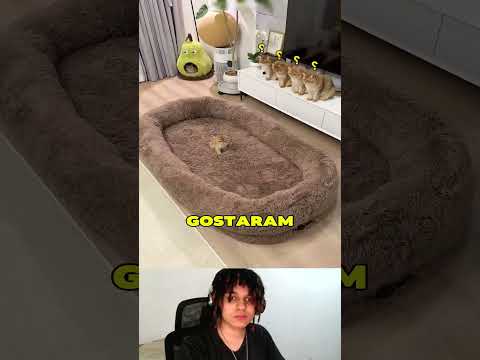 😲❤️😽 Esse Gatinho agora tem Cama Gigante!