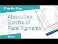 Pigment Analysis and Absorbance Measurements