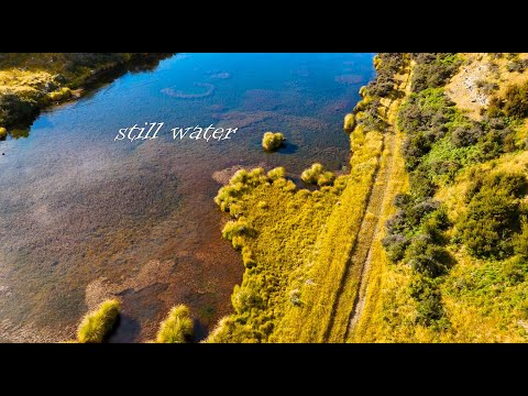 Fly Fishing New Zealand - STILL WATER Brown.