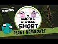 Understanding Plant Hormones