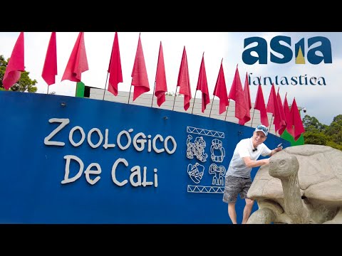 Zoologico de Cali 🇨🇴 Descubre ¡La Nueva Asia Fantastica!