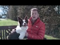 Understanding Pet Welfare Needs