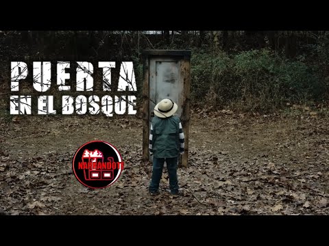 LA EXTRAÑA PUERTA EN EL BOSQUE | En 5 minutos | Resumen