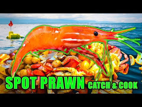 The World's Tastiest Shrimp EVER! Seafood Boil CATCH N COOK.