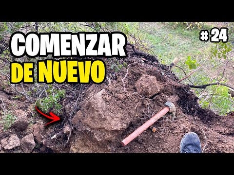 14 Días Sin AGUA!! Recupero el HUERTO después de la DANA Vlog #24 | La Huerta de Ivan