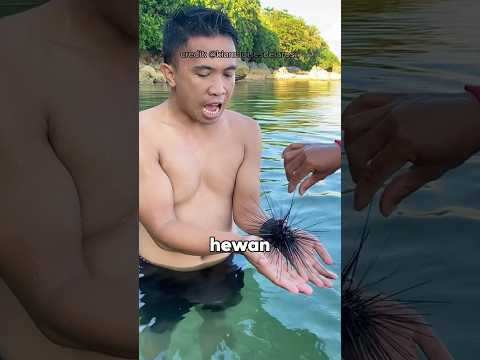 Kalau Kamu Temukan Hewan Ini, Jangan Langsung Dimakan‼️😱