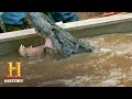 Troy's Gator Catching Experience