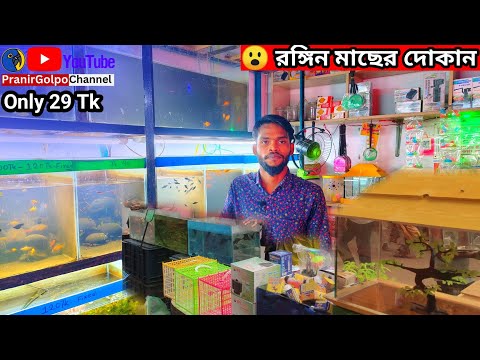 ২৯/- টাকায়🔥মাছ ও অ্যাকুরিয়াম কিনুন | Aquarium price in Bangladesh 2025 | katabon fish price 2025