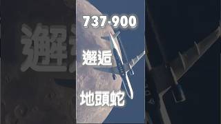最正當的延誤理由！滑行道驚見 6 呎巨鱷躺平 #達美航空 #波音737 #機場 #鱷魚 #塔台 #飛機 #SAVAirport #aviationshorts #航空事件