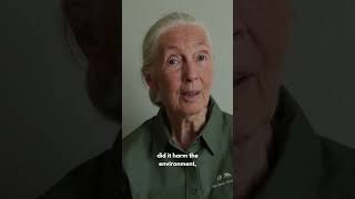 Dr. Jane Goodall's most important message