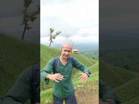 পাহাড়গুলো গাঢ় সবুজ হয়ে গেছে
