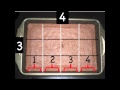 Dividing Rectangles into Squares