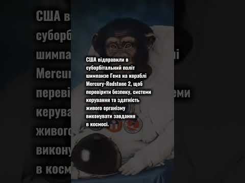 Шимпанзе в космосі #всесвітняісторія #історія #history #космос #сша #цейденьвісторії #шимпанзе