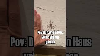 Ein Haus voller Spinnen gekauft