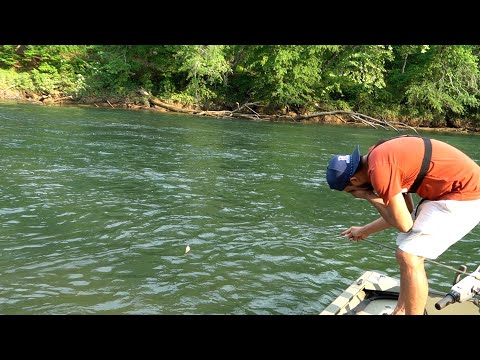 Pescando Y Cocinando Truchas En Un Lindo Lugar