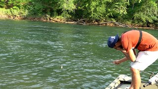 Pescando Y Cocinando Truchas En Un Lindo Lugar