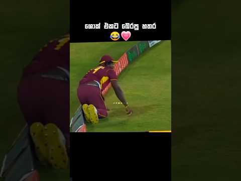 අපරාදේ මහන්සිය 😂💗 #cricketshorts #cricket #shortreels #ytshorts