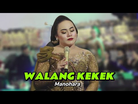 Manohara - WALANG KEKEK 😁✨ HAMONGROSO