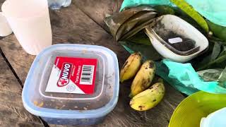 Lanjut pagi hari ikut enek panen kacang tanah 🥜 