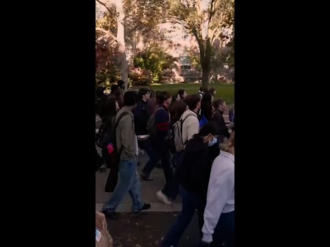 Cornell students protest over Jane Doe case