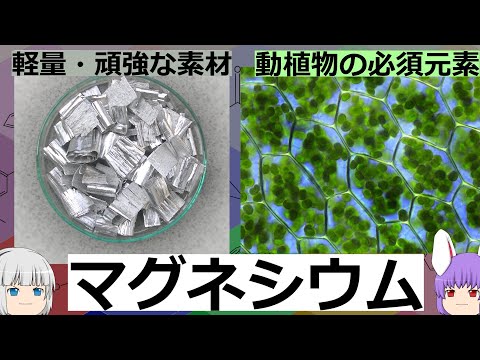 素材としても動植物の必須元素としても欠かせない元素、マグネシウムの化学小話(余談だらけのゆっくり化学解説173)