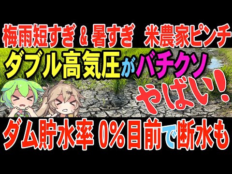 【2025年の夏がヤバい】ダムがピンチ×猛暑×ダブル高氣壓―各コメ産地が悲鳴！なぜこんなに暑いのか？