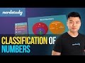 Classification of Numbers: Natural, Whole, Integers, and More