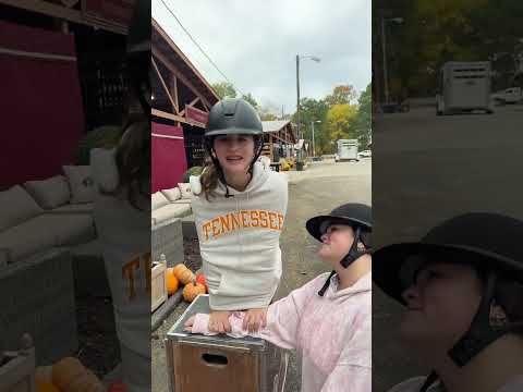 bird trend #fyp #trend #dance #bird #viral