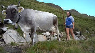 Mithelfen & Miterleben am Bergbauernhof