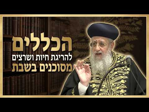 הכללים להריגת חיות ושרצים מסוכנים בשבת I מרן הראשון לציון הגאון רבי דוד יוסף שליט"א #הרב_דוד_יוסף
