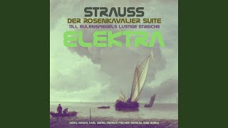 Elektra, Op. 58: Elektra! / Ah, Das Gesicht!