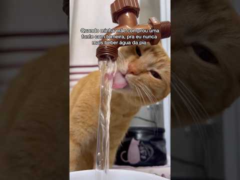 SÓ ASSIM PRA ACABAR COM ESSA MANIA