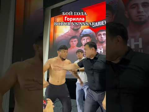 Горилла #мма #хонор #mma #харидуз #бои #muradaov #абдукариммирзаев #бой #бокс #ufc #спорт #sports