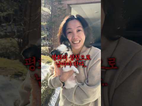 냉전중인 누나들 사이에 껴버린 남동생..제발 나를 놔줘..