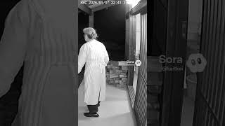 クマを蹴っ飛ばすおばあちゃん