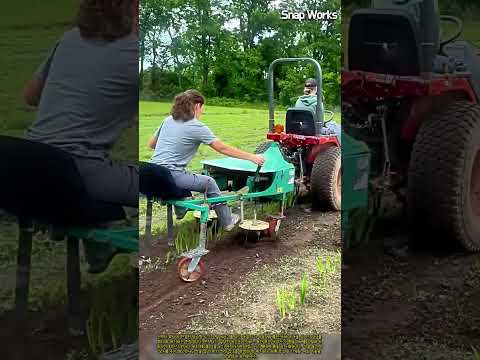 수동 레버 조향을 결합한 기계화 수간 잡초 제거 원리 #worker #process #farming #weeding #tractor