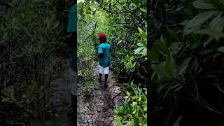 Truth | Emperor Gorilla #aruba #reggae