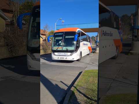 pullman bus (2916) | neobus new road N10 380 | scania K410 #pullmanbus #neobus #scania #buses