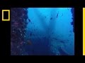 Exploring Oil Rigs as Artificial Reefs